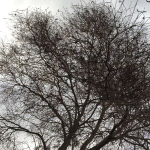 Meet your Posher, Jocelyn